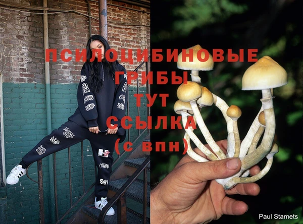 гашишное масло Богданович