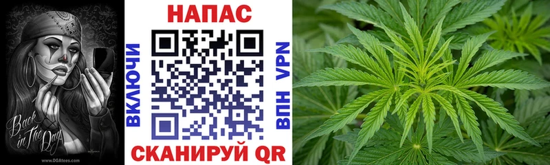 Бошки марихуана OG Kush  Купить  Ельня 